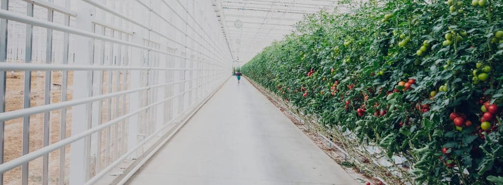 Gestión de Éxito para Empresas Agroalimentarias