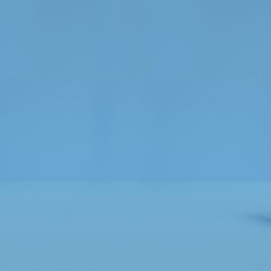 BBA in Entrepreneurship