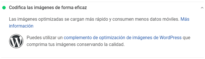 Optimizar imágenes para web - Auditoría Google Pagespeed - Codificación de imágenes correcta