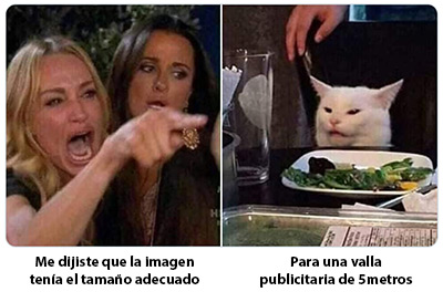 Optimizar imágenes para web - Meme mujer discutiendo con un gato
