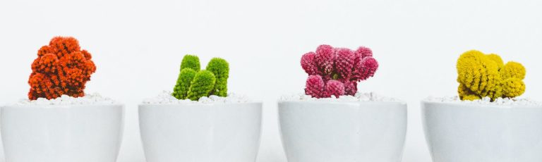 Tres casos de emprendimiento surgidos del Máster en Marketing Digital