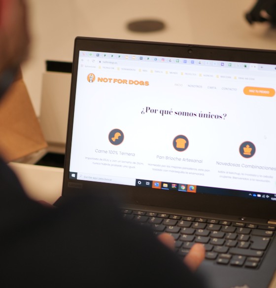 South Tropic y NOT FOR DOGS_ emprendimiento nacido de dos TFG de ADE 2