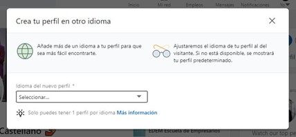 idioma perfil linkedin 2