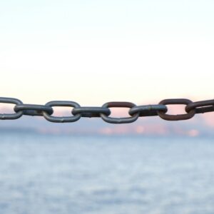 Supply Chain: innovación, sostenibilidad y nuevos retos